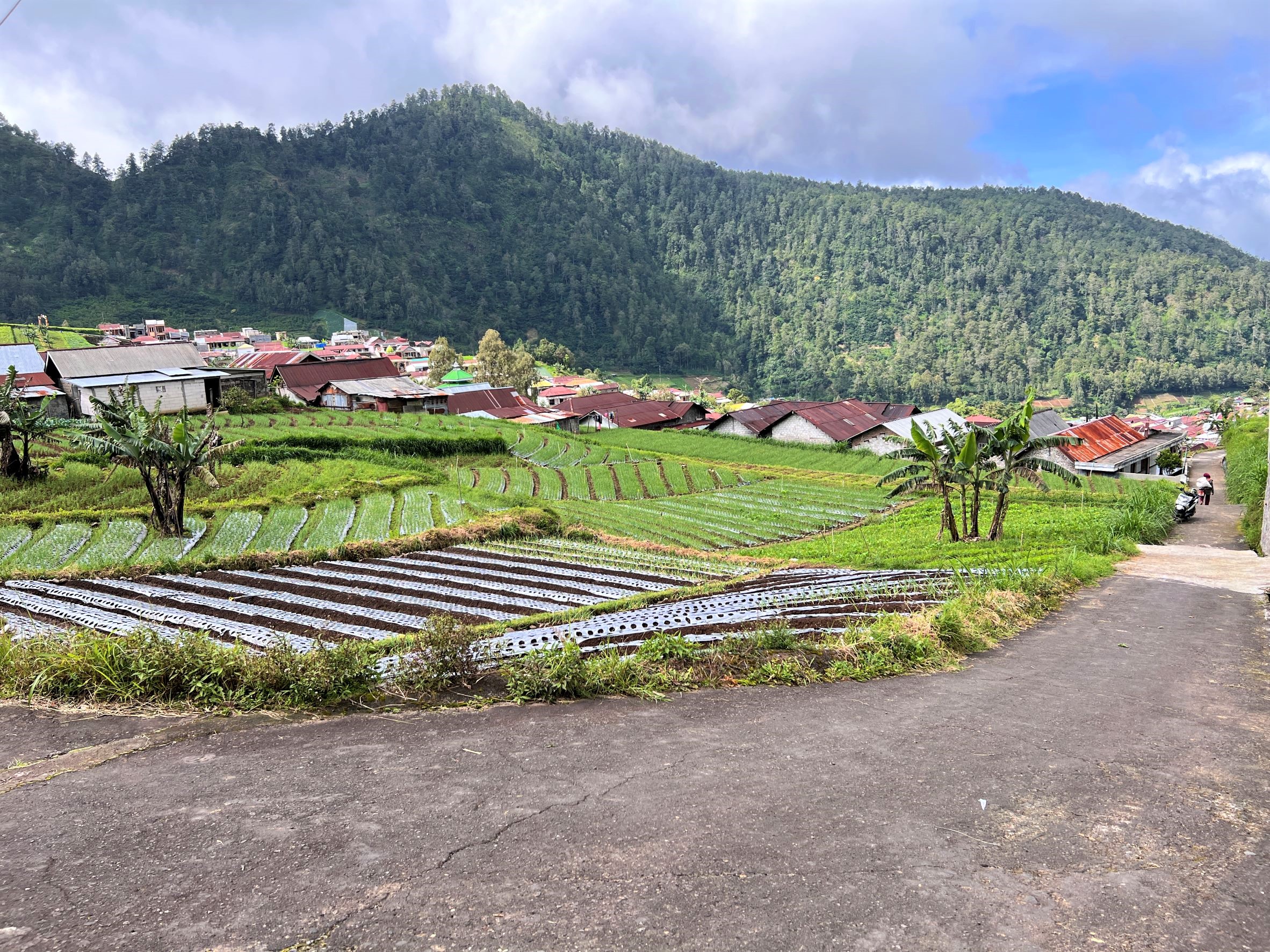 Tanah 206m² Gondosuli Tawangmangu Karanganyar