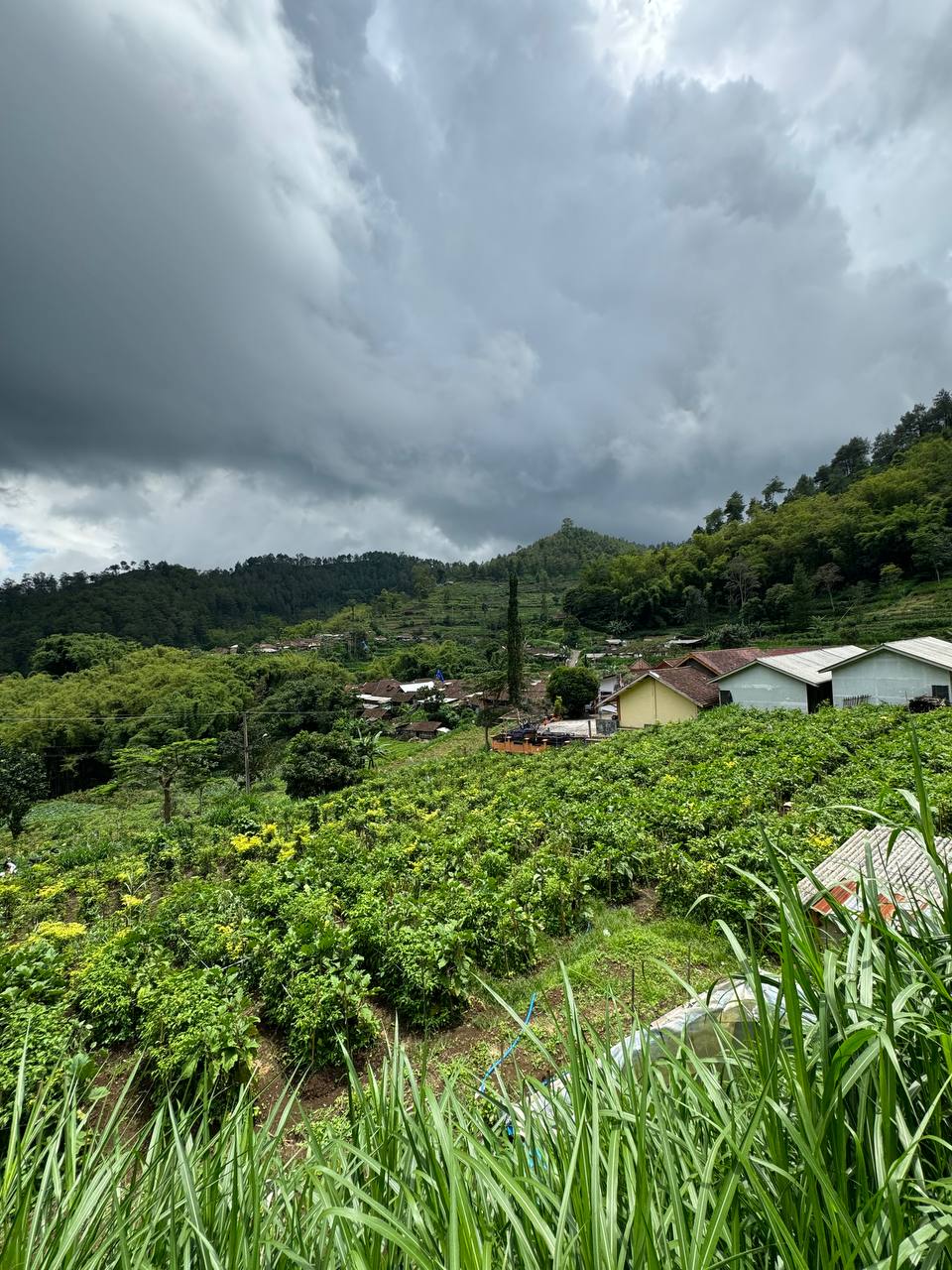 Tanah Poros Jalan Dengan Sumber Mata Air Melimpah di Kota Batu