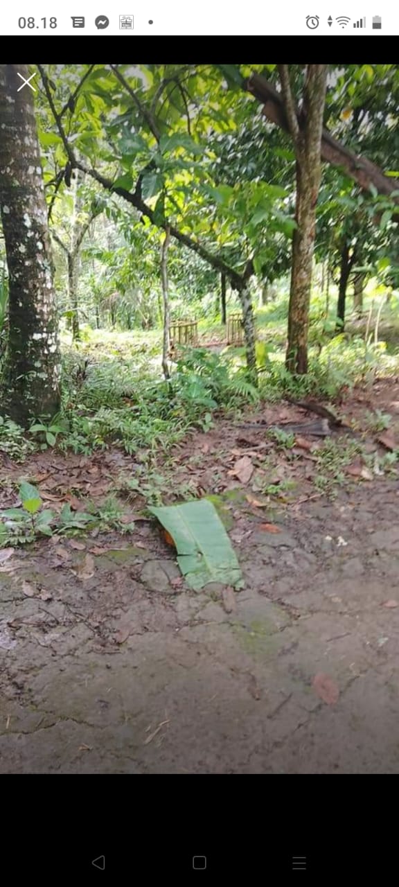 Tanah Bangkiang Sidem Tabanan Bali