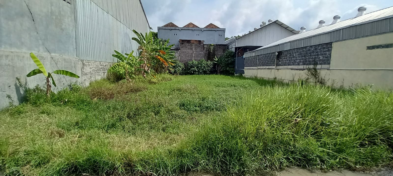 Tanah Banjar Anyar Kecamatan Kediri Kabupaten Tabanan Bali