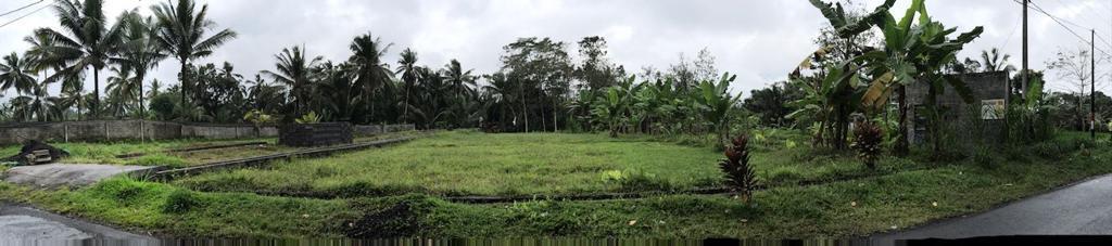 Tanah di Gianyar Bali(Madewo apples)