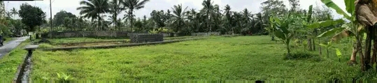 Tanah di Gianyar Bali(Madewo apples)