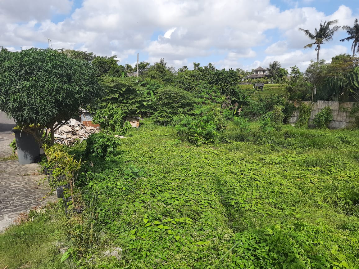 Disewakan Tanah Murah - SOLD OUT