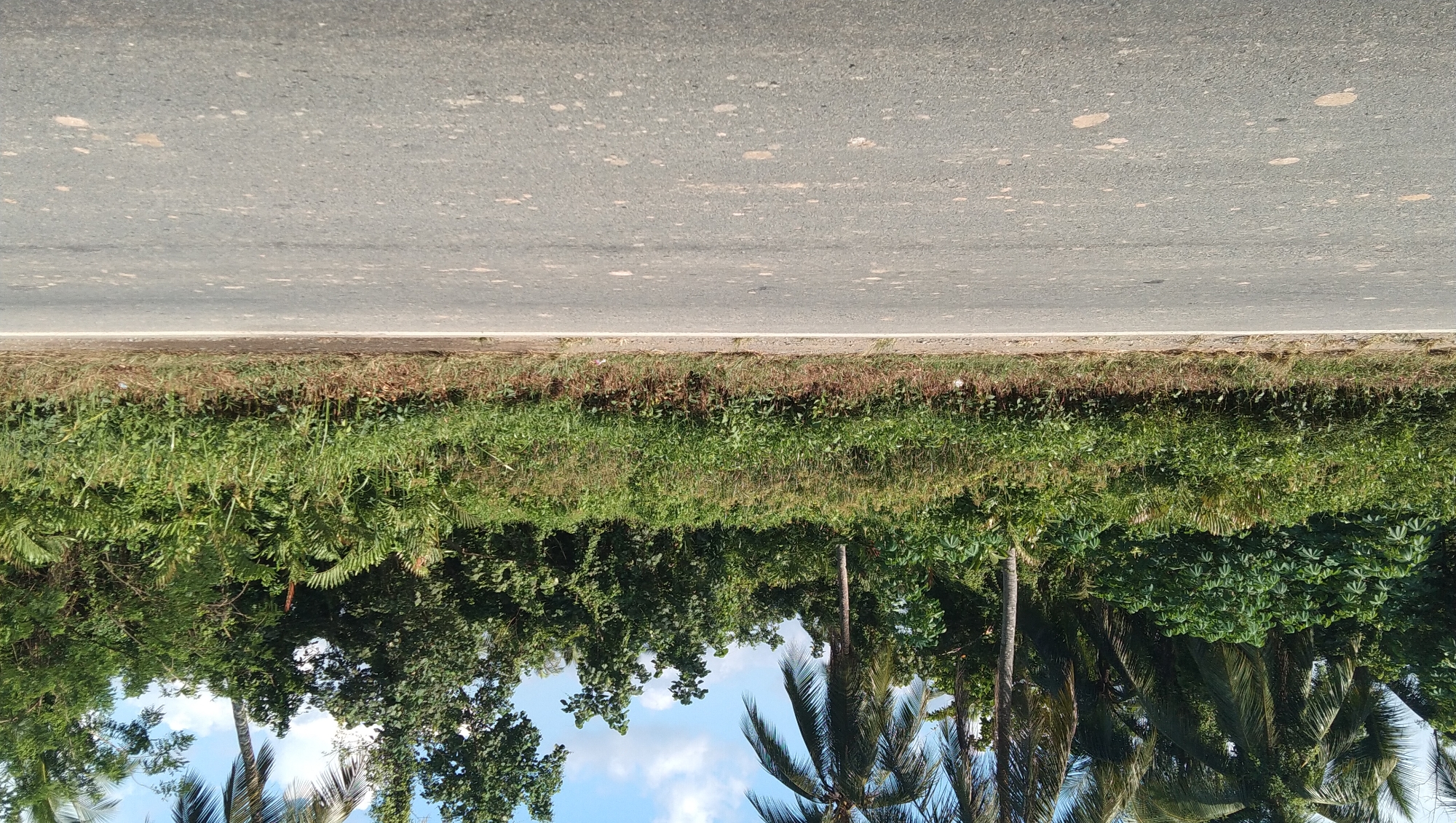 Dijual Tanah Pinggir Jalan Sungai Nipah Jungkat, Sungai Pinyuh Kalimantan Barat 